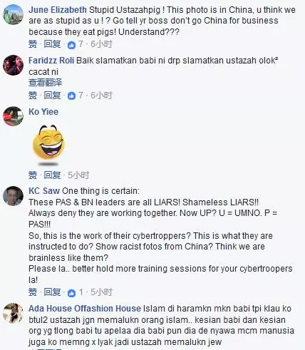人頭豬腦!伊斯蘭黨女傳教士用一張中國水災救豬圖造謠,攻擊行動黨救豬比救人重要;被馬來網民揭發造假!被