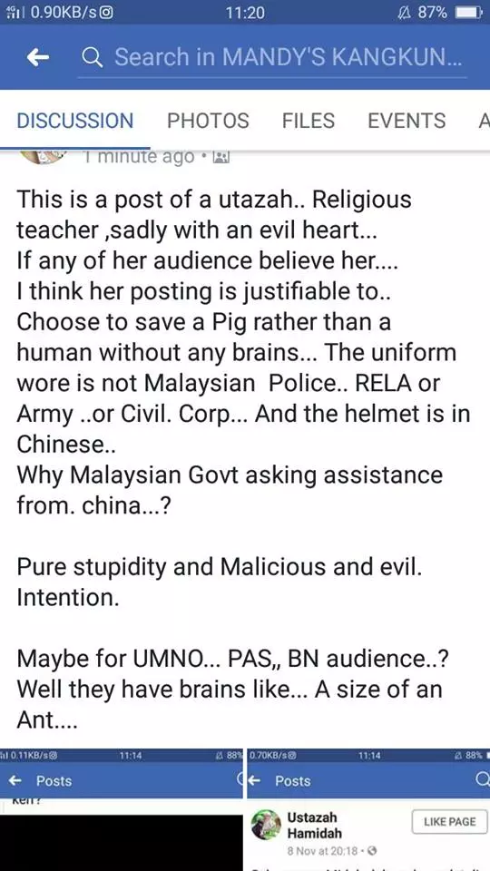 人頭豬腦!伊斯蘭黨女傳教士用一張中國水災救豬圖造謠,攻擊行動黨救豬比救人重要;被馬來網民揭發造假!被
