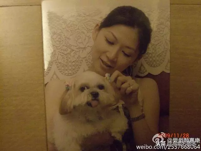 46歲顏嘉樂順利生下龍鳳胎,丈夫狄志傑:體會到何為笑到合不攏嘴