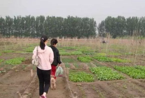 外出打工兩年,回家見妻子走路奇怪,鄰居說漏嘴,我氣得要報警!