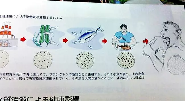 16個學生因為「上課太無聊」所以開始改造課本 看完才懂原來「沒認真上課的才是天才」!