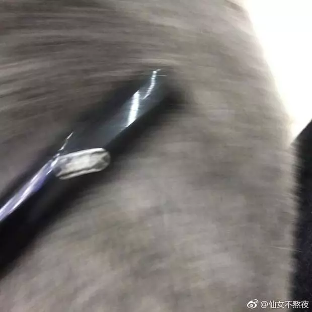 客戶說要拍得「高級」一點!他突發奇想「搬出真皮草」網笑噴:這款超貴的