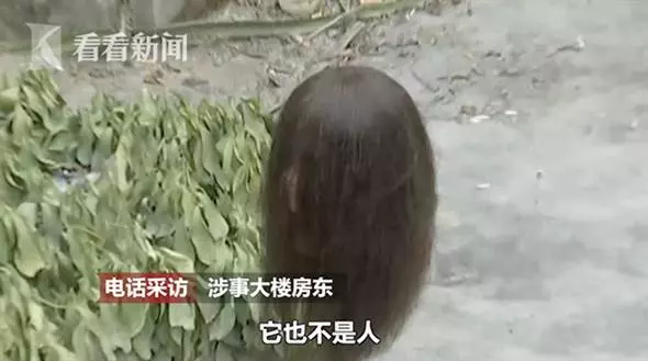 情侶半夜開窗 驚見一顆披頭散髮的人頭