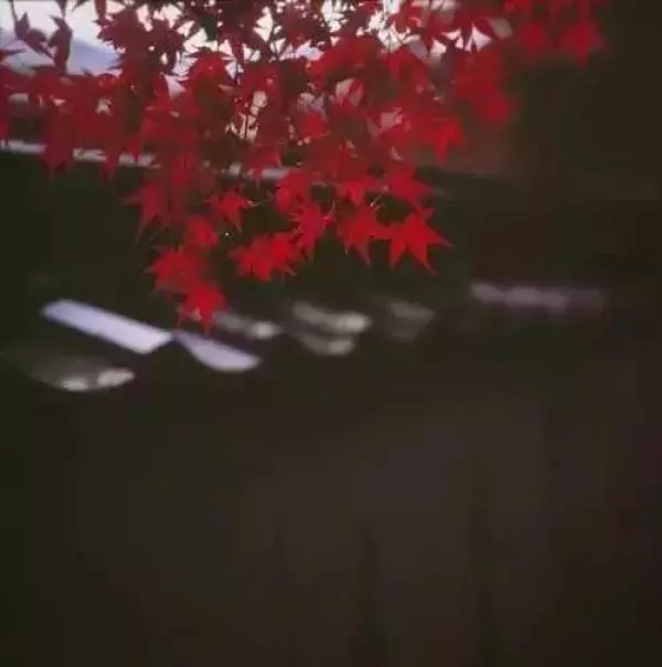 如果有一天,我老無所依!!最大的依靠不是孩子(值得深思)