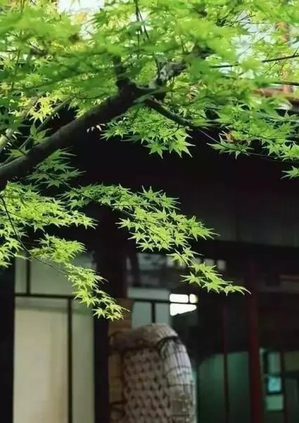 如果有一天,我老無所依!!最大的依靠不是孩子(值得深思)