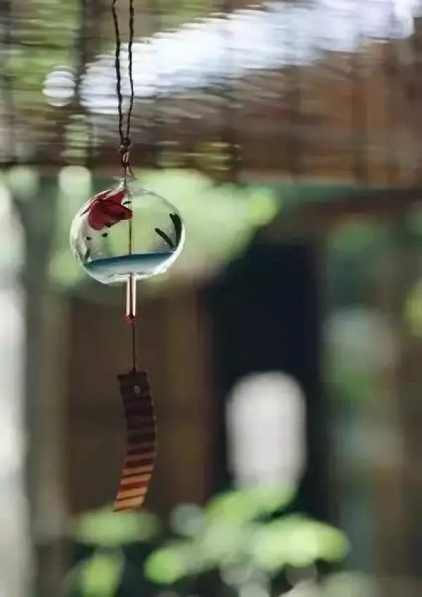 如果有一天,我老無所依!!最大的依靠不是孩子(值得深思)