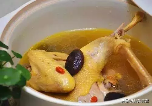 養生必備25種土雞靚湯做法,看著就特別有食慾,無法抗拒的美味!