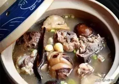 養生必備25種土雞靚湯做法,看著就特別有食慾,無法抗拒的美味!