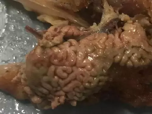 澳顧客光顧快餐店 吃炸雞驚見腦漿?