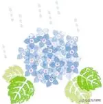 五月天石頭,你眼中的星空里,有一顆是我
