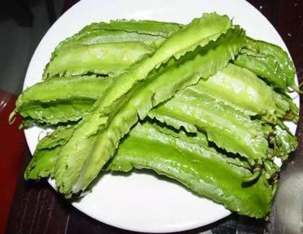 它是「奇跡植物」能對付[19種疾病 ]，能達到很好的養生效果。