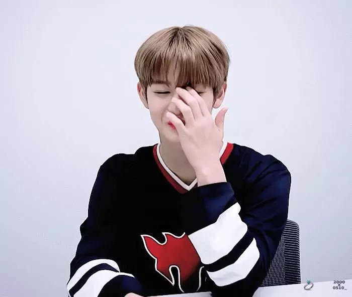 [WANNA ONE] [新聞] 181212 WANNA ONE獲得全球粉絲選擇前10名！