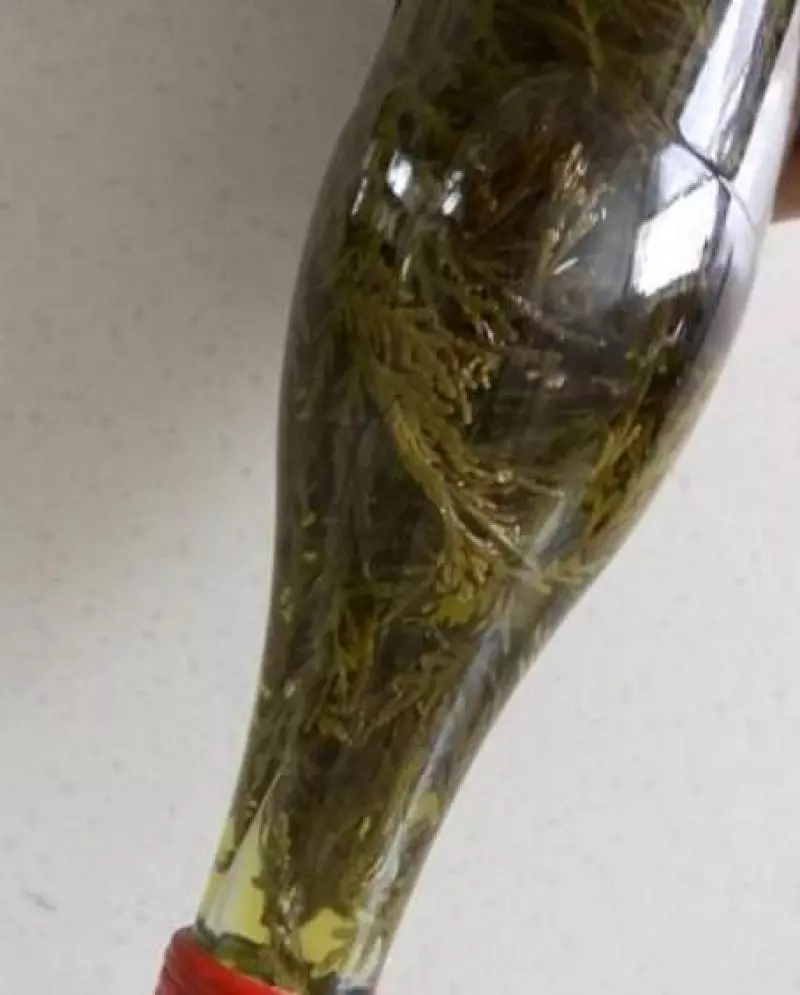 頭髮白了別再反復去染,對身體傷害太大了,簡單的幾招洗髮步驟,烏黑亮髪更顯年輕。