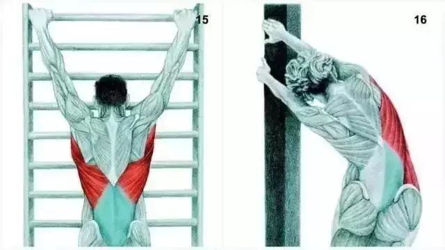 34個超全的拉筋圖,哪裡不舒服就拉哪裡,快快收藏!