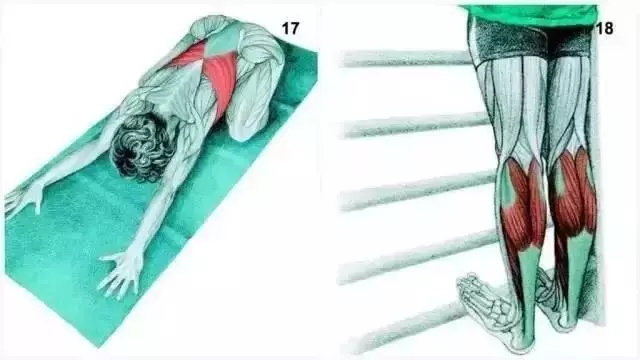 34個超全的拉筋圖,哪裡不舒服就拉哪裡,快快收藏!