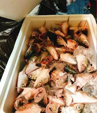 交換禮物給一箱鮮味...開箱「滿滿海鮮味飄出」手指一插入...真的母湯!網笑翻:超幸福