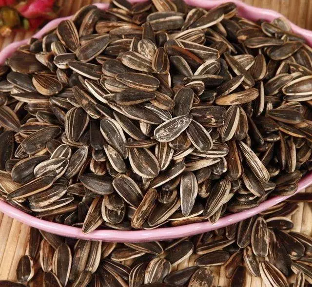 一口瓜子半口油?冬天少吃兩種高脂肪食物,別等減肥失敗才後悔