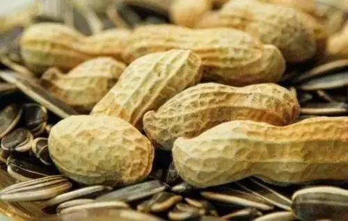 一口瓜子半口油?冬天少吃兩種高脂肪食物,別等減肥失敗才後悔