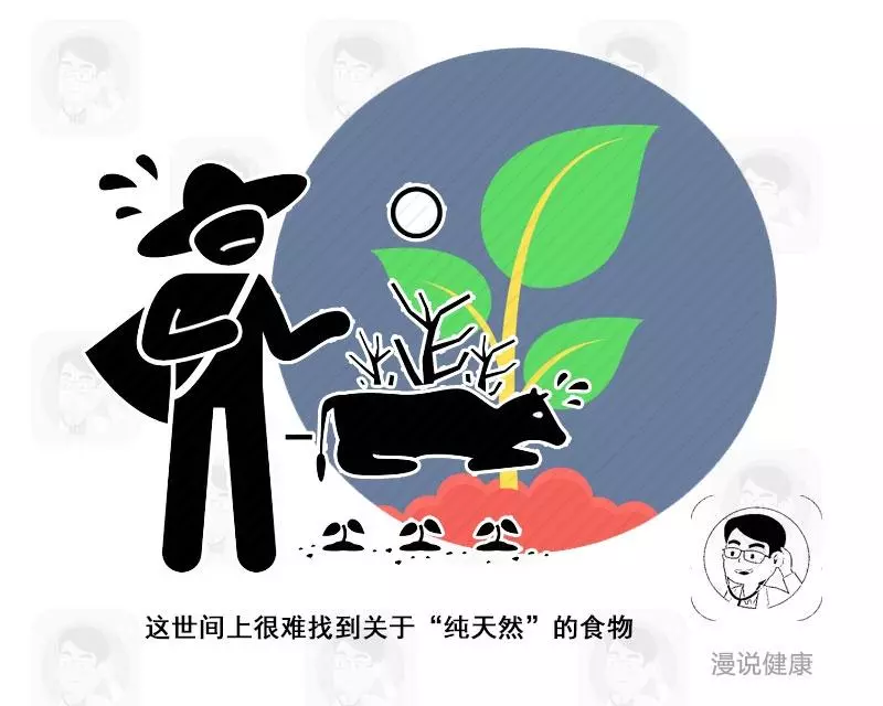 高溫加熱會致癌?被冤枉多年的味精,4個真相該為它平反