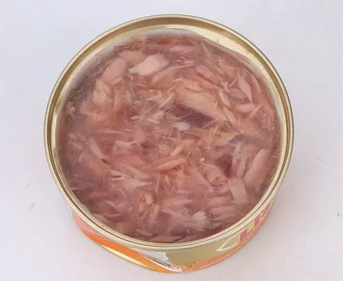 貓咪有耳蟎怎麼辦!耳蟎會好嗎?
