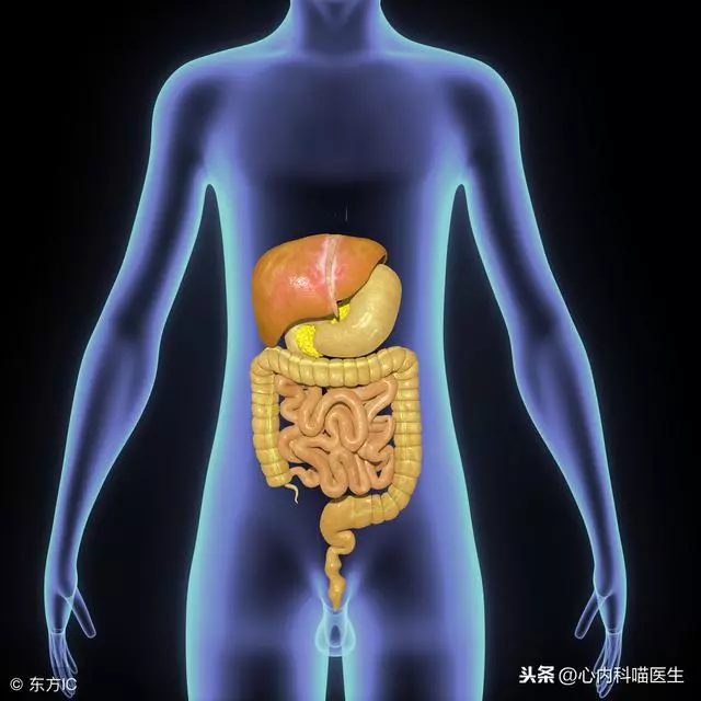 不但能降「三高」,還能降「五高」!這道食材天天見