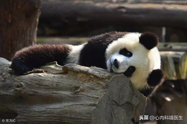 闢謠 生命在於靜止?不是坐著,就是躺著!小心,各種疾病上門來