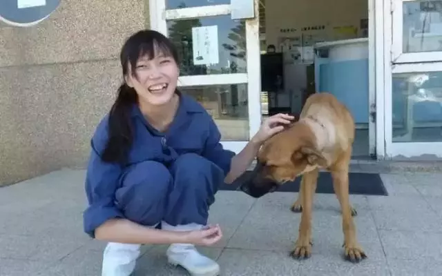 親手殺死700隻流浪狗後 女孩吞藥自殺