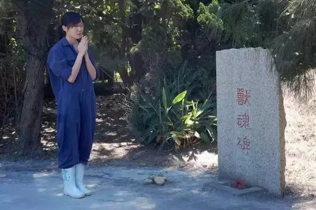 親手殺死700隻流浪狗後 女孩吞藥自殺