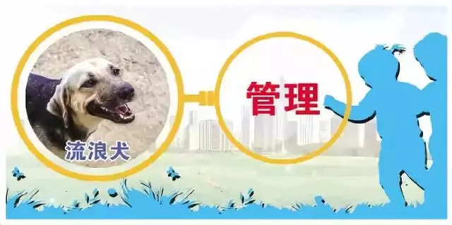 親手殺死700隻流浪狗後 女孩吞藥自殺