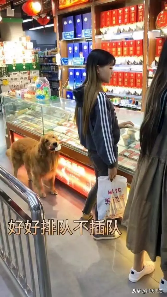 輪到我了嗎~金金買火腿「懂事先排隊」 咬著白紙老闆大笑:來吃免費的!