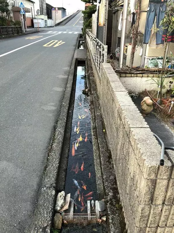 23張證明「日本是另一個星球」的超狂日本生活照 連廁所也可以很有娛樂性!