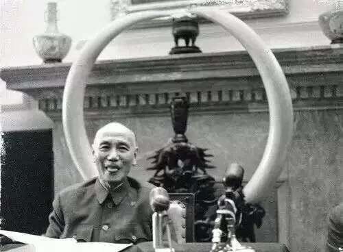 12張讓人「想搭時光機重回過去見證」的難得一見歷史照 黑猩猩界的拿破崙!