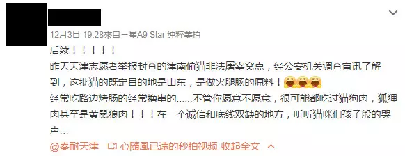 火腿腸裡到底包什麼?他揭開500貓咪「等上路」 最後全成了路邊的烤香腸!