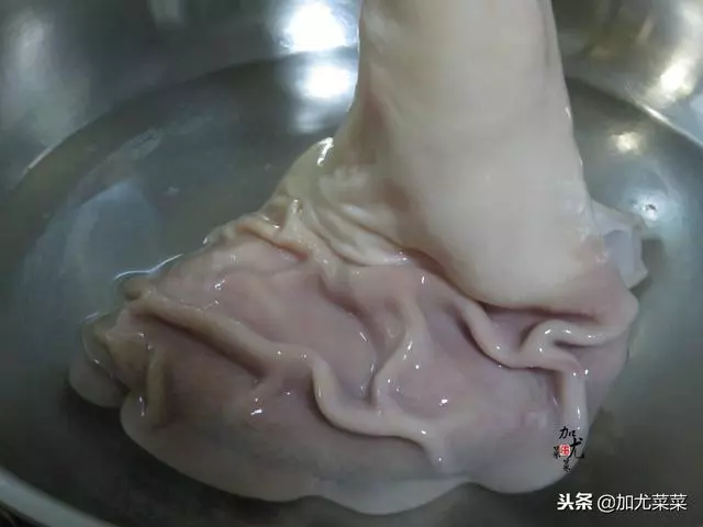 煮豬肚時,多加這2步,豬肚嫩滑鮮香,湯香濃純白,無臊味,好吃極了