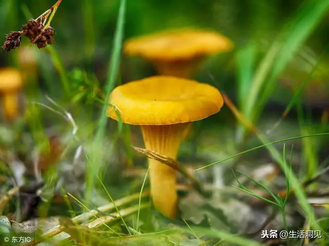 人生,該硬的時候,不能軟!