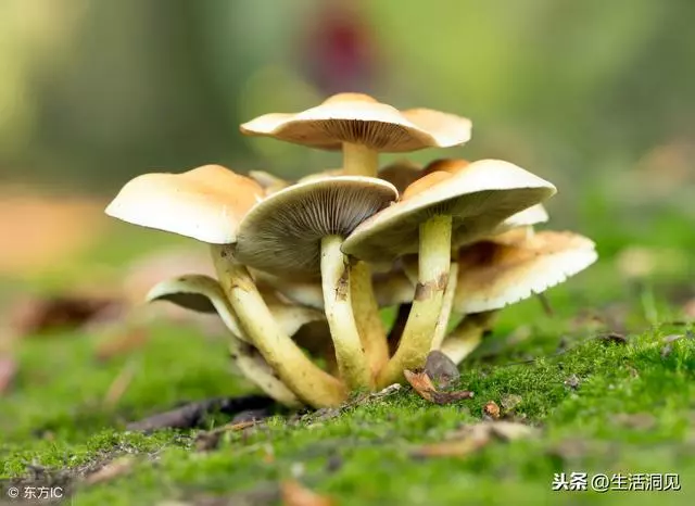 人生,該硬的時候,不能軟!
