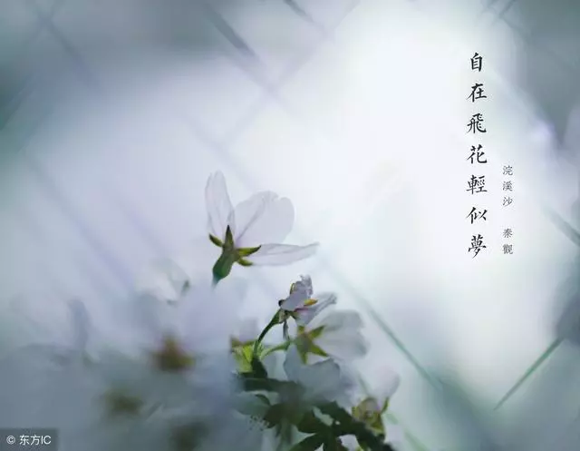 最好的投資就是投資自己
