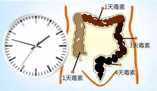 宿便終於找到「出口」了!常吃這3種便宜食物,腸道很通暢