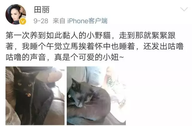 田麗:不能給我愛情,還來分我麵包!勇敢離婚2次的她,51歲美過25歲