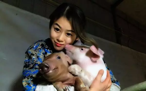 美女睡豬豬 年收入百萬人民幣
