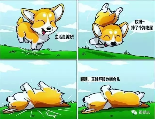 太治癒了!心情糟糕或是鬱悶時,看完心情瞬間好了