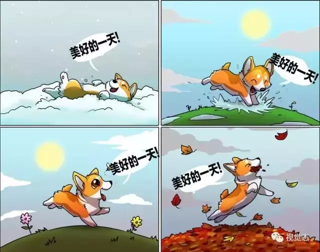 太治癒了!心情糟糕或是鬱悶時,看完心情瞬間好了