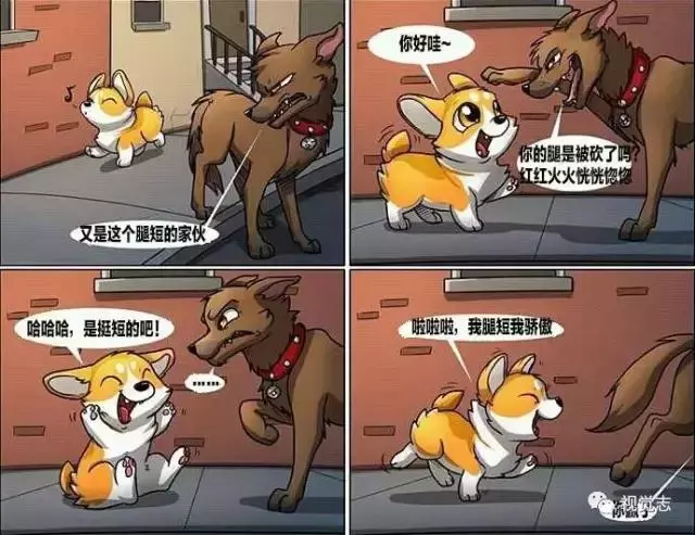 太治癒了!心情糟糕或是鬱悶時,看完心情瞬間好了