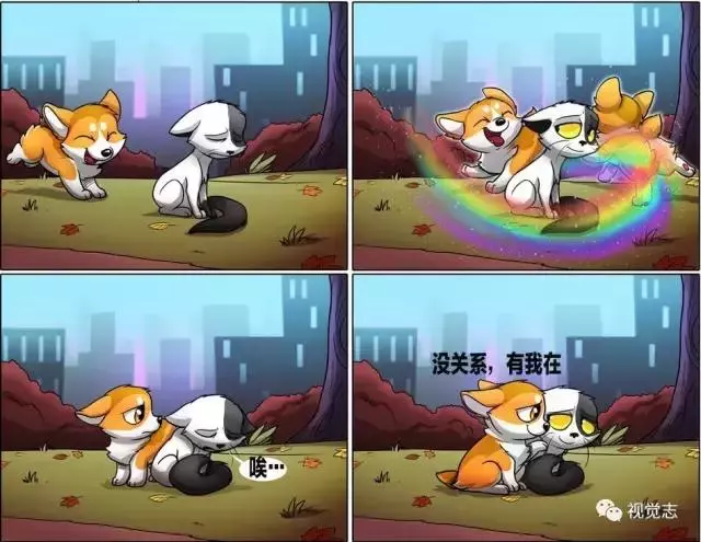 太治癒了!心情糟糕或是鬱悶時,看完心情瞬間好了