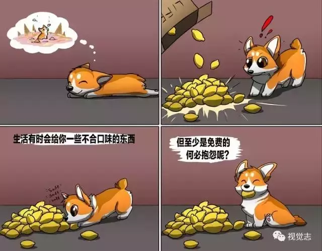 太治癒了!心情糟糕或是鬱悶時,看完心情瞬間好了