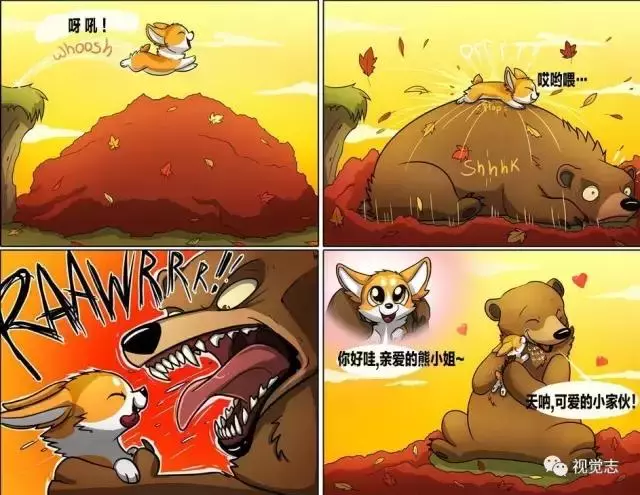 太治癒了!心情糟糕或是鬱悶時,看完心情瞬間好了
