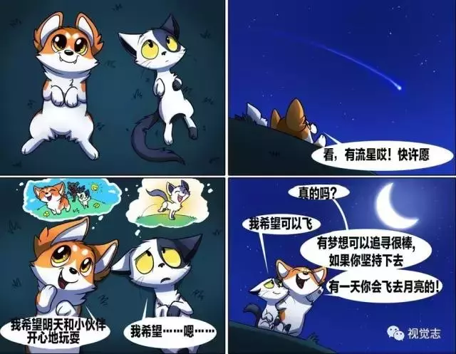 太治癒了!心情糟糕或是鬱悶時,看完心情瞬間好了