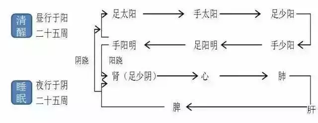 「8小時睡眠理論」也是騙人的!黃帝內經說「這樣睡」才養生