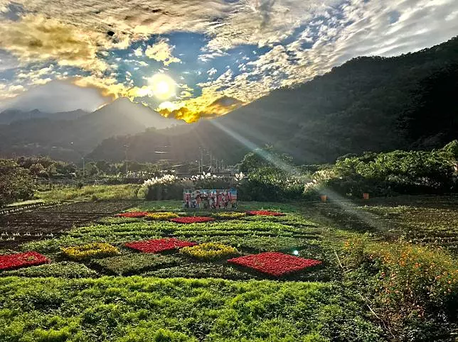 2018桃園花彩節-進階版展區在復興,一手掌握交通資訊輕鬆入溪口