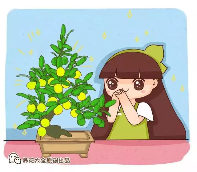細菌最怕這種花,養1盆殺菌消毒,空氣清新少生病!